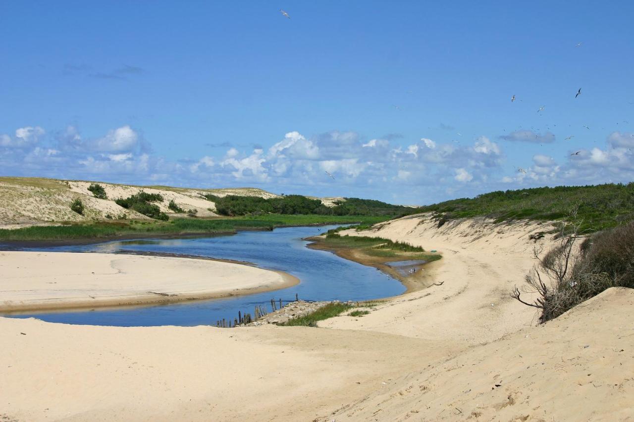 LE HAMEAU DES VAGUES 6 PERS Piscines et Nature à MOLIETS Extérieur photo